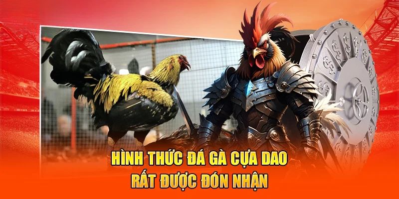 Hệ thống Rwin cung cấp đa dạng loại cược