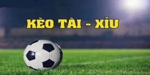 Tài Xỉu 2 3/4 - Bí Quyết Soi Kèo Và Cách Chơi Hiệu Quả