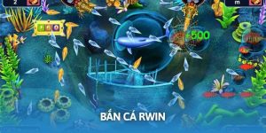 Bắn Cá RWIN - Lựa Chọn Hay Giúp Bạn Giải Trí, Đổi Đời
