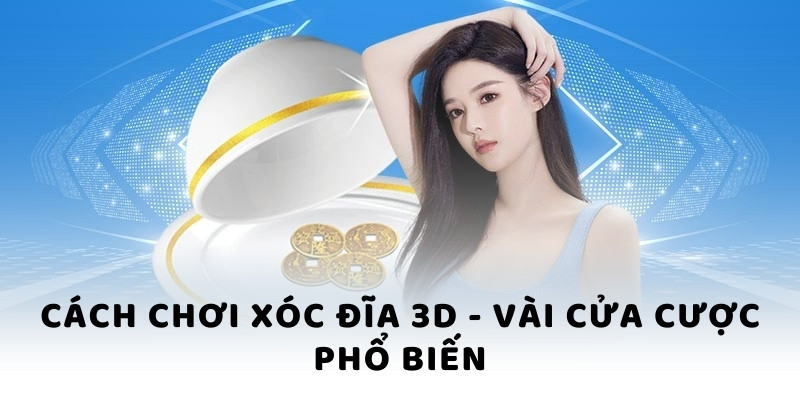 Cách chơi Xóc Đĩa 3D - Vài cửa cược phổ biến