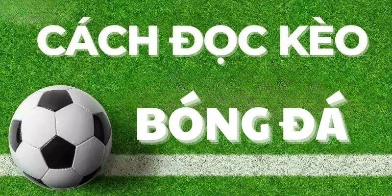 Hướng dẫn cách đọc kèo tài xỉu bóng đá dành cho tân thủ