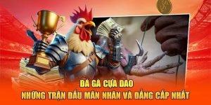 Gà Cựa Dao Rwin – Đỉnh Cao Kịch Tính, Thăng Hoa Cảm Xúc!