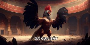 Gà Cựa Sắt Rwin - Sân Chơi Kịch Tính Cho Các Kê Thủ 2025