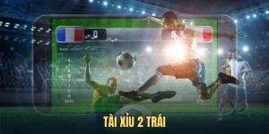 Tài Xỉu 2 Trái - Chiến Thuật Đọc Kèo, Nhận Định Chuẩn Xác